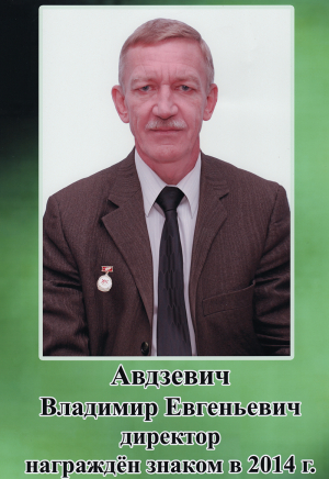 2014 Avdzev