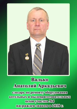 2018 valko